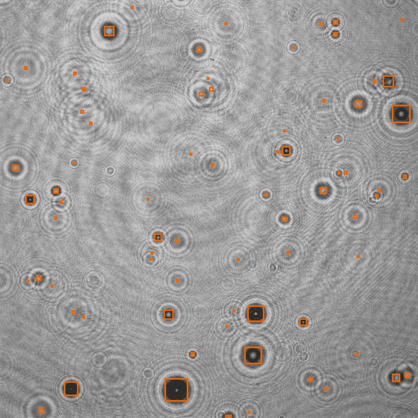 Holographic Image 5
