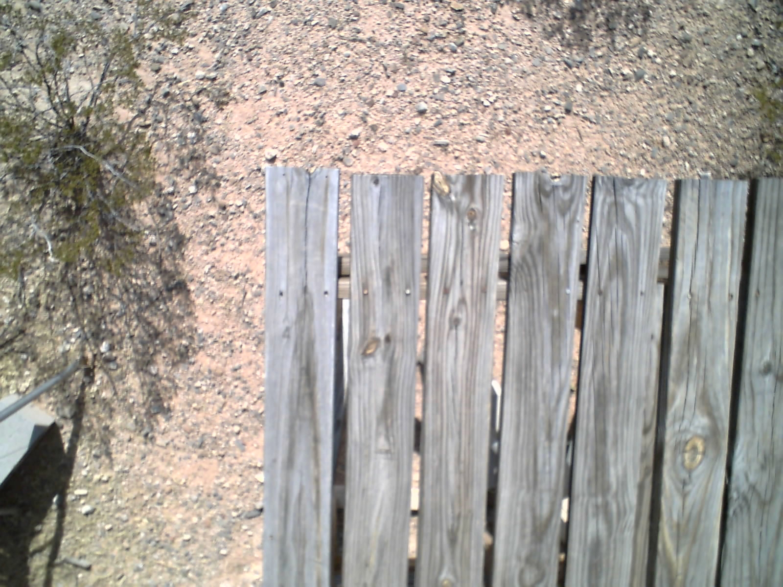 Second Image